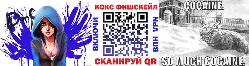 ссылка на мегу ТОР  где купить наркоту  Новомичуринск  КОКАИН 97% 