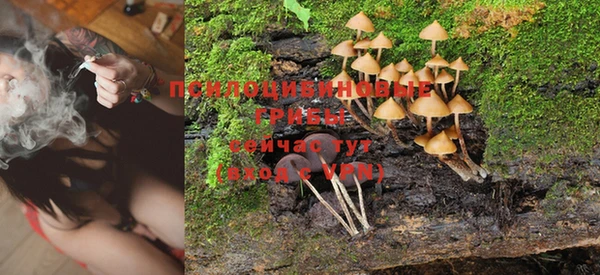 марки nbome Михайлов
