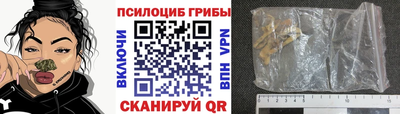 закладка  Новомичуринск  Галлюциногенные грибы мухоморы 